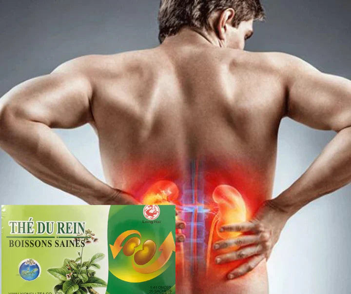 Soutien Naturel pour des Reins en Santé !