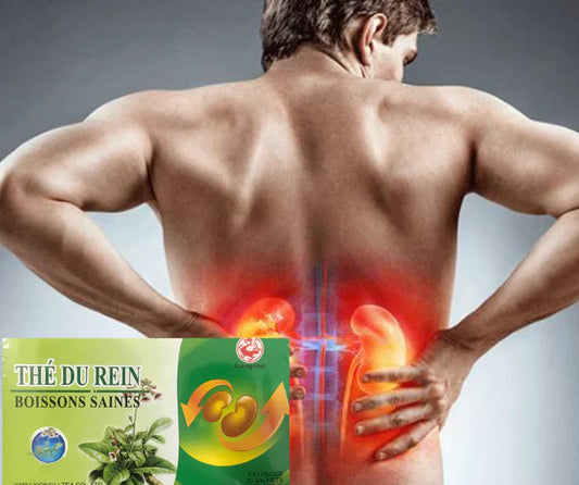 Soutien Naturel pour des Reins en Santé !