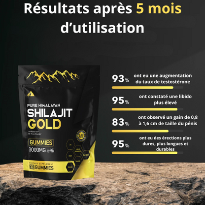 Pure Shilajit Gummies (60 gommes)