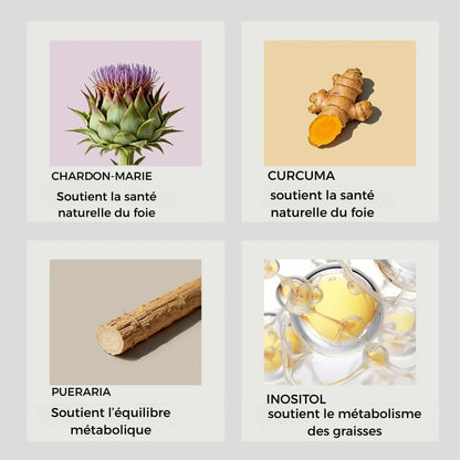 AKTALO-Détoxification Du Foie (90 CAPSULES 3 MOIS DE CURE)
